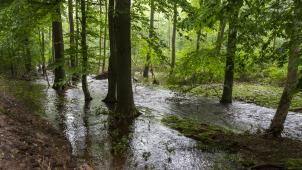 <p>An mehreren Stellen in Ostbelgien könnten im Laufe des Tages Vorwarnstufen überschritten werden.</p>