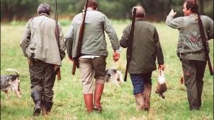 <p>Die Jagd stellt eine Wirtschaftsleistung von jährlich 394 Mio. Euro dar.</p>