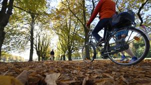 <p>Spaziergänger und eine Radfahrerinhaben die warmen Temperaturen der letzten Tage für einen Aufenthalt im Kölner Grüngürtel am Denksteiner Weiher genutzt.</p>