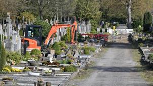 <p>Seitdem die Birken auf der ehemaligen Allee im Jahr 2019 gefällt worden waren, sah der Abschnitt etwas kahl aus.</p>