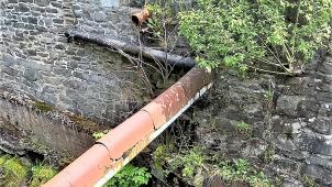 <p>Solche Bilder, wo Bäume aus den Mauern wachsen, sind der ISG Monschau ein Dorn im Auge.</p>