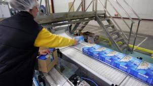 <p>Die Beschäftigungsquote in der Wallonie soll bis 2030 mindestens 75 Prozent erreichen.</p>
