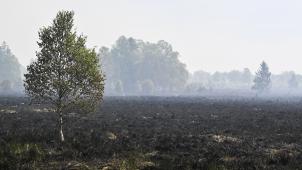 <p>Die deutsche Feuerwehr übt am Freitag im Schadensgebiet des Hohen Venns.</p>
