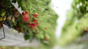 <p>Belgaimage-32246989</p>