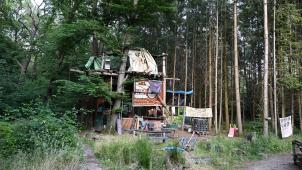 <p>Verlassende Baumhäuser im Hambacher Forst.</p>