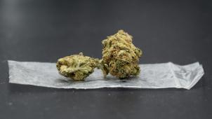 <p>Der persönliche Cannabis-Konsum zu Hause wird in Luxemburg erlaubt.</p>