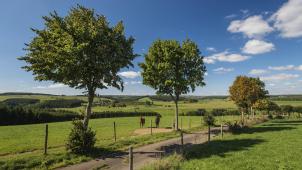 <p>Gutes Wetter lädt zum Landschaftsgenuss in Ostbelgien ein.</p>