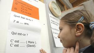 <p>Damit Schüler von zehn bis 14 Jahren aus der DG auch außerhalb der Schule mit Französisch in Kontakt kommen, startet nach den Sommerferien ein neues Pilotprojekt.</p>