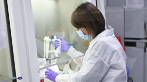 <p>Eine Wissenschaftlerin der KU Löwen bei der Arbeit im Labor.</p>