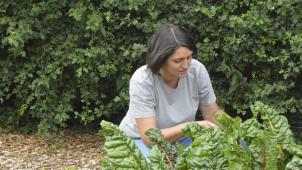 <p>Aktuell freut sich Inga Voss-Werding über die zusätzliche freie Zeit, die sie mit ihrer Familie verbringen kann. Auch oder besonders im Gemüsegarten ihres Mannes, wo sie sich aber „bestenfalls als Lehrling“ sieht.</p>