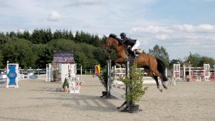 <p>Hoch hinaus wollen Amazonen und Springreiter in den Springen der Klasse S.</p>
