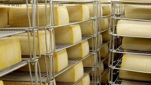 <p>Obwohl Belgien über Milch im Überfluss verfügt, wird sehr viel Käse importiert. Das möchte „Terre de Fromages“ in Herve ändern.</p>