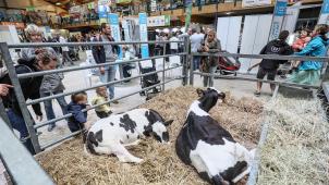 <p>Die Landwirtschaftsmesse von Libramont gilt als Publikumsmagnet. Die Messe-Verantwortlichen sollen öffentliche Gelder nicht korrekt verbucht haben.</p>