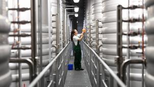 <p>Eine Probe zwischen Kessel und Kolben: Der belgische Biersektor leidet.</p>