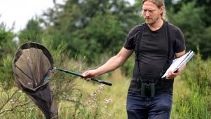 <p>Sebastian Flinkerbusch, Biologe im Nationalpark Eifel, fängt zur Registrierung der Artenvielfalt einen Schmetterling mit einem Kescher. Die Nationalparkverwaltung führt ein neues Tagfalter-Monitoring für Schmetterlinge durch.</p>