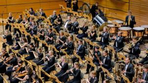 <p>Der Auftritt in der Elbphilharmonie wird für Anne Fuhrmann ein Highlight: „Der große Saal ist überwältigend“, sagt die 22 Jahre alte Berufsmusikerin aus Weywertz. Das Foto entstand bei einem Projekt mit dem Jungen Philharmonischen Orchester Niedersachsen.</p>