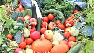 <p>Zum Erntedank sind der Kreativität keine Grenzen gesetzt, wie dieses hübsche Gebilde aus Obst und Gemüse ansehnlich deutlich macht.</p>