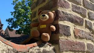 <p>Die Teddybären, die hierzulande ausgesetzt wurden,waren unter anderem mit einerTelefonnumern beschriftet.</p>