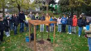 <p>Nachwuchs pflanzt Nachwuchs: Für den symbolischen Akt haben die KAE-Schüler sich eine weiße Zierkirsche „Tai Haku“ ausgesucht.</p>