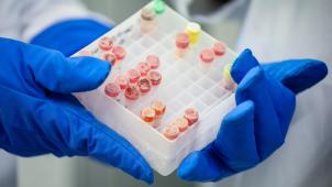<p>Die erfolgreiche Nutzung von Implantaten gilt als Durchbruch in der Diabetesforschung.</p>