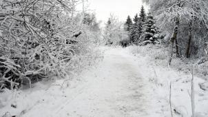 <p>Auch im hohen Venn ist am Wochenden mit neuen Schneefällen zu rechnen.</p>