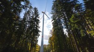 <p>Es ist noch unklar, ob auf dem Gebiet der Gemeinde Gouvy Windräder in Waldgebieten aufgestellt werden.</p>