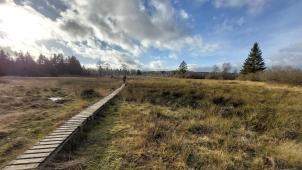 <p>Auch ohne Schnee lohnt sich eine Winterwanderung in Ostbelgien.</p>