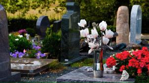 <p>graves-3683272_1280 (1)</p>