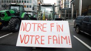 <p>Bauernprotest vergangenen Donnerstag in Brüssel</p>