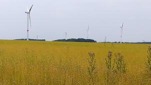 <p>Die Windkraftkapazität in der Wallonie wird jährlich ausgebaut, reicht aber nicht um die Produktionsziele zu erfüllen.</p>