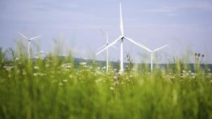 <p>Bürgerumfrage zur belgischen Energie- und Klimapolitik.</p>