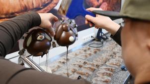 <p>Sie gehören zu Ostern wie Ostereier, Osterbrot und Osterfleisch: Die Rede ist von den besonders bei Kindern beliebten Schoko-Osterhasen. Doch was kosten die Naschereien in diesem Jahr?</p>