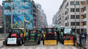 <p>Angaben der Polizei zufolge blockierten am Montag 900 Traktoren das Brüsseler Europaviertel und sorgten auf allen Zufahrtsstraßen für erhebliche Behinderungen.</p>