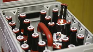 <p>Jupiler 0,0 % ist das alkoholfreie Pendant zum bekannten Pilsner-Bier Jupiler.</p>