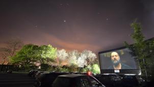 <p>Ein Projekt der Jugendkammer war das Autokino 2014 in Kettenis</p>