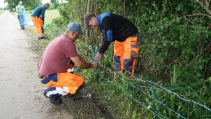 <p>Arbeiter bauen im hessischen Nauheim einen Wild-Elektrozaun auf, der die Ausbreitung von Afrikanischer Schweinepest verhindern soll.</p>