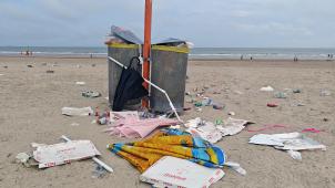 <p>Die Schattenseite des Besucheransturms.</p>