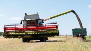 <p>Das schlechte Wetter bereitet den belgischen Landwirten Sorgen.</p>