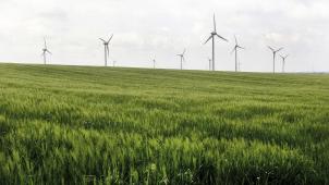 <p>Die ESG-Kriterien fordern von Unternehmen Bemühungen in Nachhaltigkeit ein.</p>
