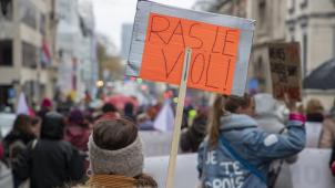 <p>Seit einigen Jahren - wie hier im Jahr 2022 -geht Mirabal Belgium in der Hauptstadt auf die Straße.</p>