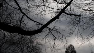 <p>Wintergrau drückt hierzulande aufs Gemüt.</p>