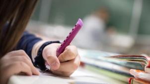 <p>Kann Niederländisch in der Wallonie endlich ein Pflichtfach werden?</p>