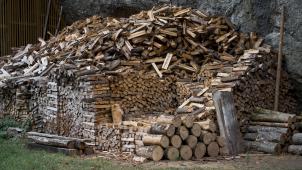 <p>Das Wirtschaftsministerium warnt vor Betrug mit Brennholz.</p>