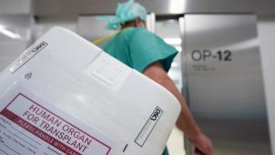 <p>Im europäischen Vergleich gehört Belgien zu den Spitzenreitern in der Organtransplantation.</p>