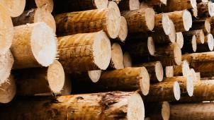 <p>Die EU hat im April 2022 ein Importverbot für russisches Holz und Holzerzeugnisse erlassen, das seit Juli 2022 vollständig in Kraft ist. Dennoch gelingt es Russland offenbar, diese Sanktionen zu umgehen und weiterhin Holz in die EU zu exportieren.</p>