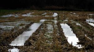 <p>Am Montag, dem 6. Januar 2025, erlebte Belgien stürmisches Wetter mit starken Regenfällen und heftigen Winden. In Landen hinterließen die Niederschläge überflutete Felder.</p>