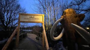 <p>Pairi Daiza bringt die Urzeit zurück.</p>