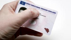 <p>In mehreren Fällen ging es um Betrug im Zusammenhang mit dem Führerschein.</p>