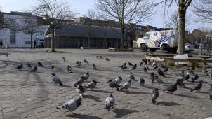<p>Friedliche Ruhe auf dem Platz vor der Metrostation Clemenceau. Die Drogendealer sind abgewandert – vorerst.</p>