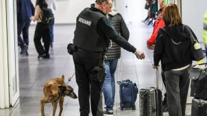 <p>Einsatz von Zollbeamten und Drogenspürhunden im Eurostar-Terminal des Brüsseler Südbahnhofs.</p>